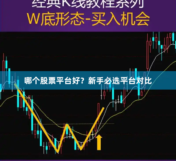 哪个股票平台好？新手必选平台对比